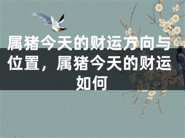 属猪今天的财运方向与位置，属猪今天的财运如何
