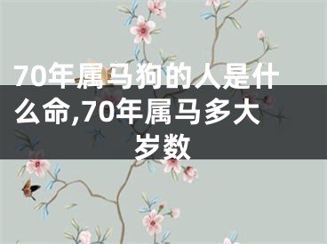 70年属马狗的人是什么命,70年属马多大岁数