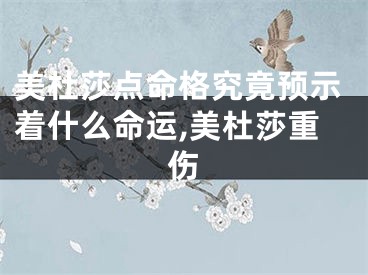 美杜莎点命格究竟预示着什么命运,美杜莎重伤