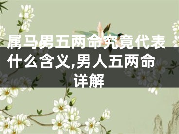 属马男五两命究竟代表什么含义,男人五两命详解