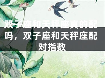 双子座和天秤座真的配吗，双子座和天秤座配对指数