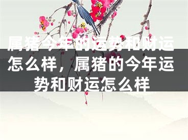 属猪今年的运势和财运怎么样,属猪的今年运势和财运怎么样
