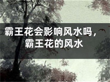 霸王花会影响风水吗,霸王花的风水