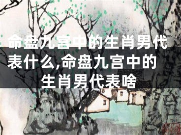 命盘九宫中的生肖男代表什么,命盘九宫中的生肖男代表啥