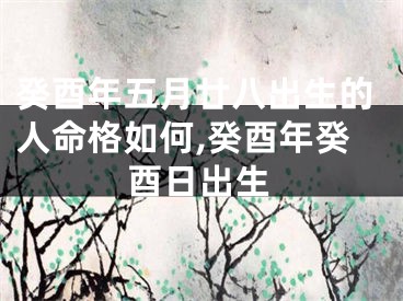 癸酉年五月廿八出生的人命格如何,癸酉年癸酉日出生