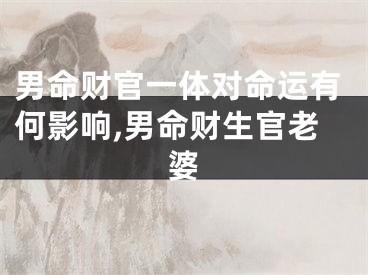 男命财官一体对命运有何影响,男命财生官老婆
