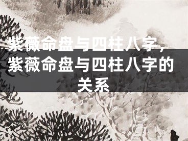 紫薇命盘与四柱八字，紫薇命盘与四柱八字的关系