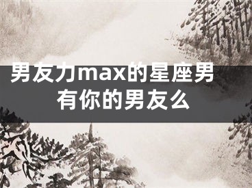 男友力max的星座男有你的男友么