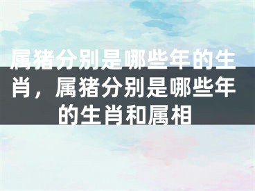 属猪分别是哪些年的生肖，属猪分别是哪些年的生肖和属相