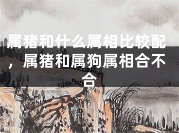 属猪和什么属相比较配，属猪和属狗属相合不合