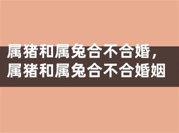 属猪和属兔合不合婚，属猪和属兔合不合婚姻