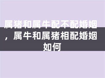 属猪和属牛配不配婚姻,属牛和属猪相配婚姻如何