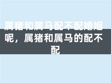 属猪和属马配不配婚姻呢，属猪和属马的配不配