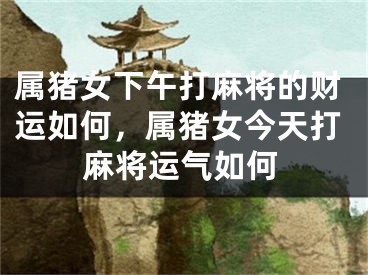 属猪女下午打麻将的财运如何，属猪女今天打麻将运气如何