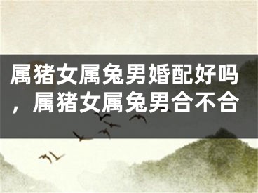 属猪女属兔男婚配好吗,属猪女属兔男合不合