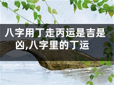 八字用丁走丙运是吉是凶,八字里的丁运