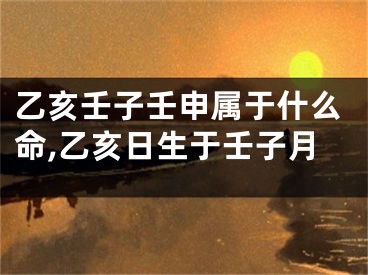 乙亥壬子壬申属于什么命,乙亥日生于壬子月