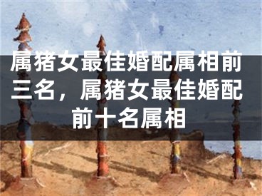 属猪女最佳婚配属相前三名，属猪女最佳婚配前十名属相