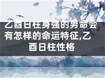 乙酉日柱身强的男命会有怎样的命运特征,乙酉日柱性格