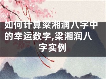 如何计算梁湘润八字中的幸运数字,梁湘润八字实例