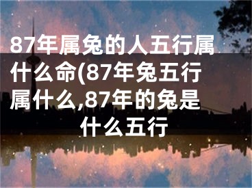 87年属兔的人五行属什么命(87年兔五行属什么,87年的兔是什么五行