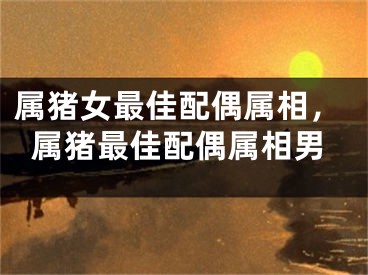 属猪女最佳配偶属相,属猪最佳配偶属相男