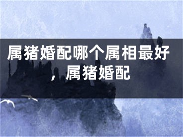 属猪婚配哪个属相最好,属猪婚配