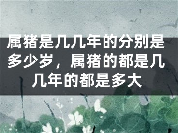 属猪是几几年的分别是多少岁，属猪的都是几几年的都是多大