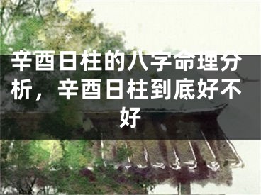 辛酉日柱的八字命理分析，辛酉日柱到底好不好