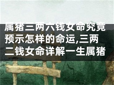 属猪三两六钱女命究竟预示怎样的命运,三两二钱女命详解一生属猪