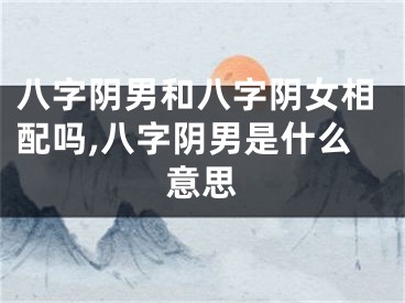 八字阴男和八字阴女相配吗,八字阴男是什么意思