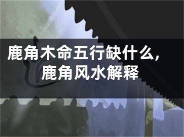 鹿角木命五行缺什么,鹿角风水解释