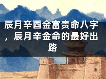 辰月辛酉金富贵命八字，辰月辛金命的最好出路