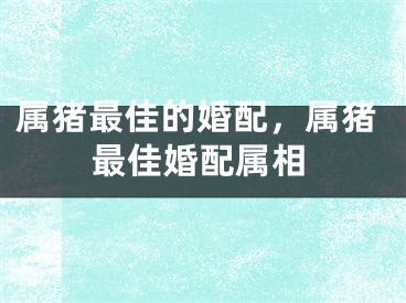 属猪最佳的婚配,属猪最佳婚配属相