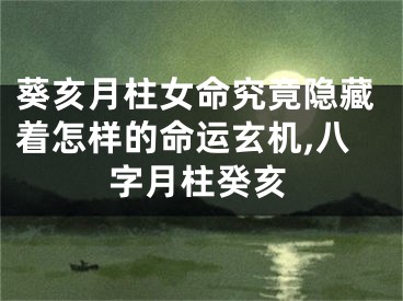 葵亥月柱女命究竟隐藏着怎样的命运玄机,八字月柱癸亥