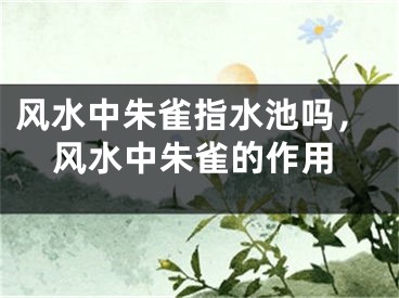 风水中朱雀指水池吗，风水中朱雀的作用