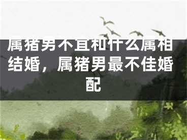 属猪男不宜和什么属相结婚,属猪男最不佳婚配