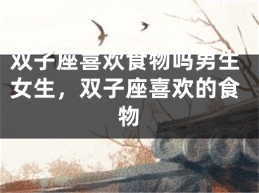 双子座喜欢食物吗男生女生，双子座喜欢的食物