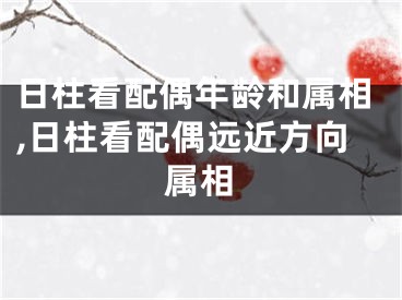 日柱看配偶年龄和属相,日柱看配偶远近方向属相
