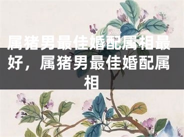 属猪男最佳婚配属相最好,属猪男最佳婚配属相