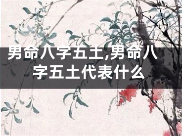 男命八字五土,男命八字五土代表什么