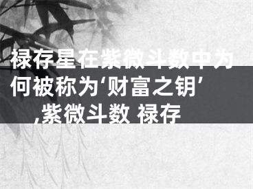 禄存星在紫微斗数中为何被称为‘财富之钥’,紫微斗数 禄存