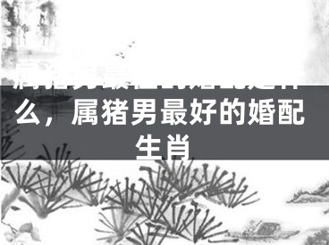 属猪男最佳的婚配是什么,属猪男最好的婚配生肖