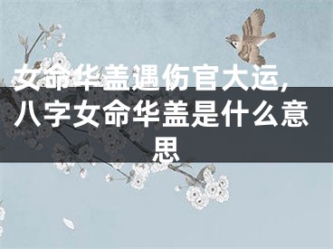女命华盖遇伤官大运,八字女命华盖是什么意思