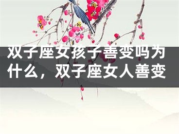 双子座女孩子善变吗为什么，双子座女人善变