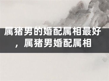 属猪男的婚配属相最好,属猪男婚配属相