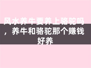 风水养牛要养上骆驼吗，养牛和骆驼那个赚钱好养