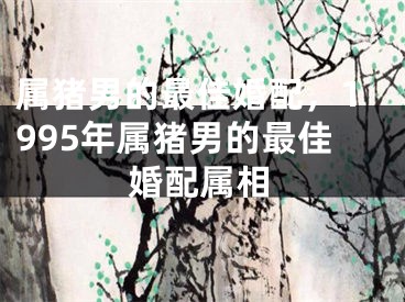 属猪男的最佳婚配，1995年属猪男的最佳婚配属相