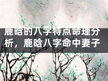 鹿晗的八字特点命理分析，鹿晗八字命中妻子