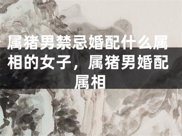 属猪男禁忌婚配什么属相的女子，属猪男婚配属相
